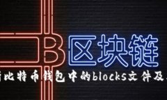 全面解析比特币钱包中的blocks文件及其重要性